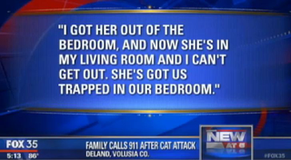 Illustration for article titled The Most Beautiful Modern Art: News Chyrons Featuring Cats
